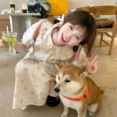 遇见董小姐
